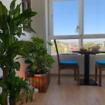 Apartment Oasis